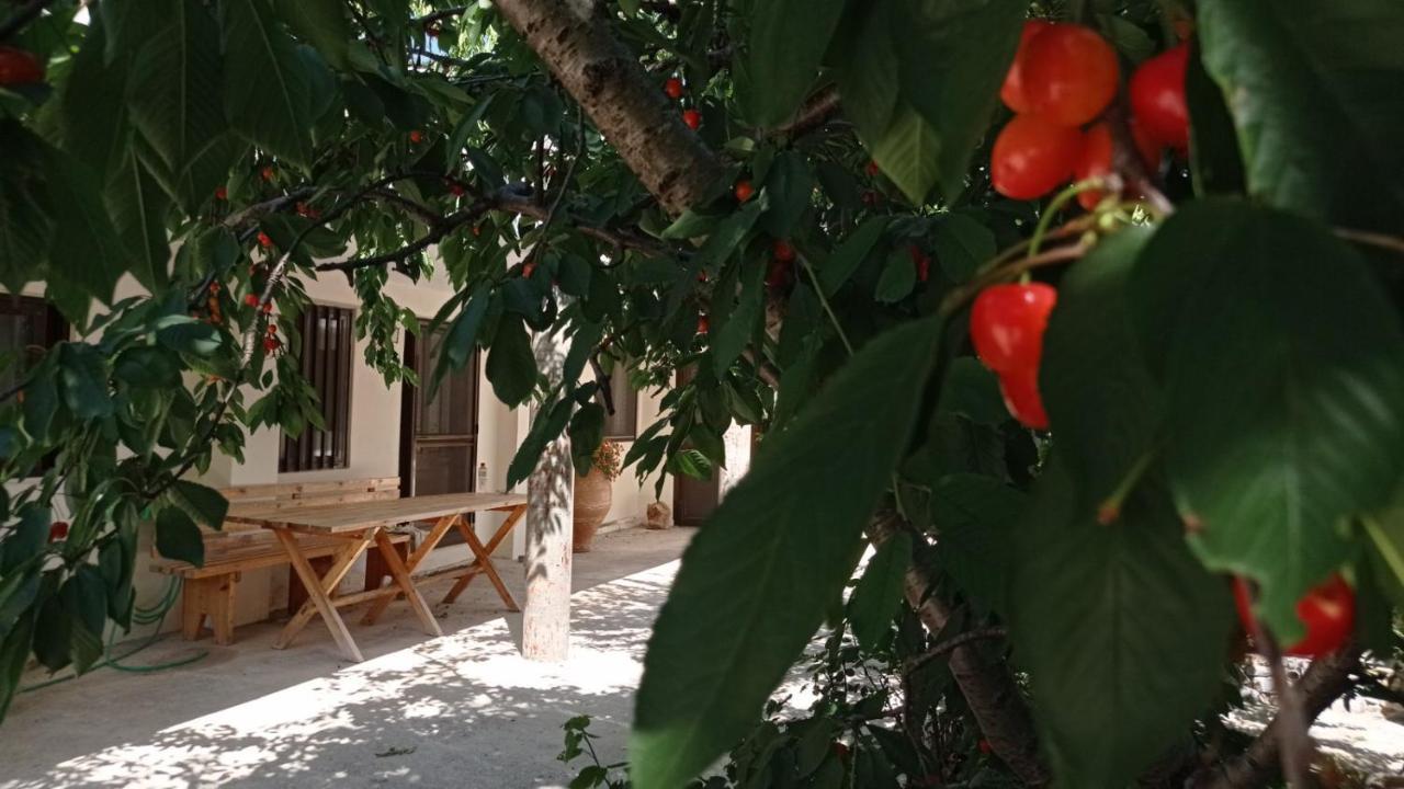 Villatzer - Traditional House With Fireplace And Garden Tzermiádon 외부 사진
